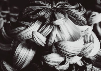 High angle view of vegetables for sale in market
