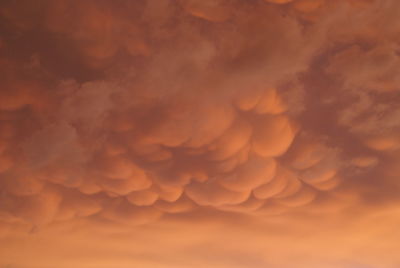 Low angle view of orange sky