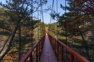 Footbridge amidst trees in forest against sky