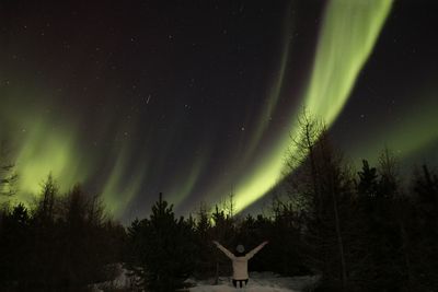 Low angle view of trees against sky at night