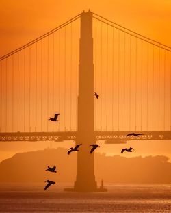 Low angle view of suspension bridge