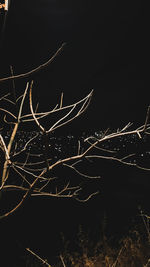 darkness