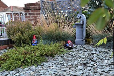 People on rock by plants