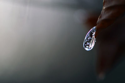 Close-up of water drop on hand