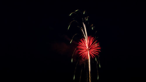 Firework display at night