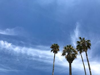 Low angle view of palm trees against cloudy sky