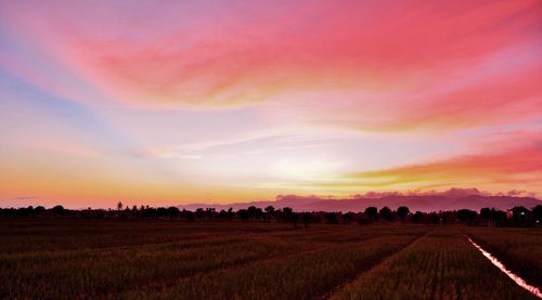 Scenic view of agricultural field against sky during sunset