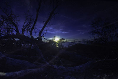 Scenic view of bare trees against sky at night
