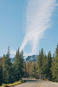 Road amidst trees against sky