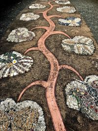 High angle view of flowers on field