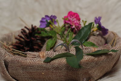 High angle view of purple flowering plant in basket on table