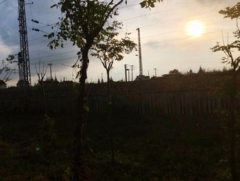 Silhouette trees on field against sky during sunset