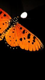 Close-up of illuminated light over black background