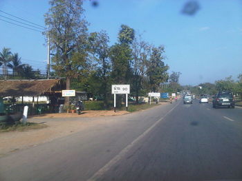 Road along trees