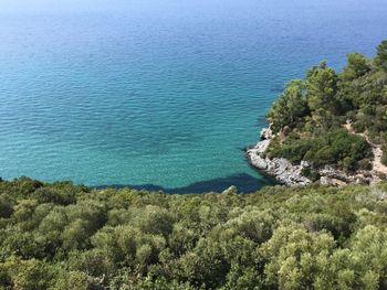 High angle view of sea and trees