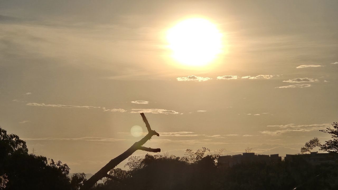 sky, sunlight, morning, sun, dawn, nature, sunrise, cloud, tree, silhouette, environment, beauty in nature, horizon, sunbeam, plant, tranquility, no people, light, scenics - nature, outdoors, astronomical object, landscape, back lit, tranquil scene, lens flare, land