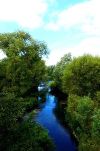 Stream flowing through a river