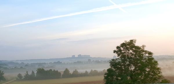 Trees on landscape against sky