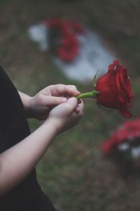 Close-up of hand holding red rose