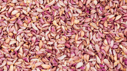 Full frame shot of coffee beans