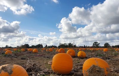 Hay bales on field against cloudy sky