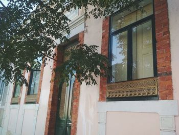 Low angle view of trees and building