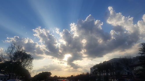 Low angle view of trees against sky