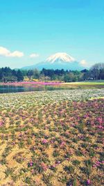 beauty in nature