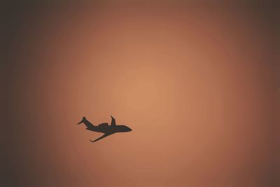 Silhouette bird flying against clear sky during sunset