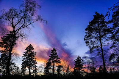 Low angle view of silhouette trees against sky at night