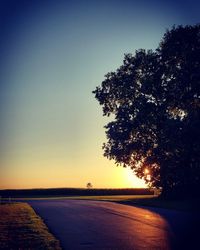 Silhouette tree on field against clear sky at sunset