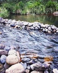 Stream flowing through rocks