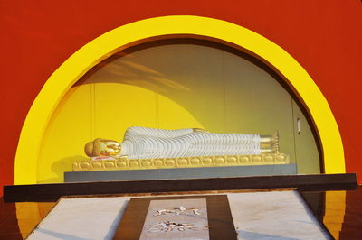 Close-up of a cat looking through window