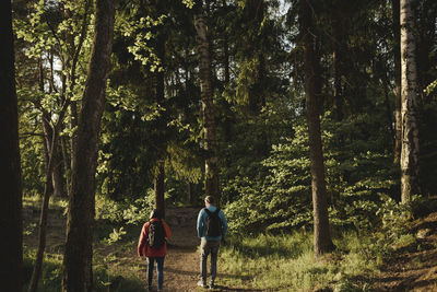 Hikers in forest