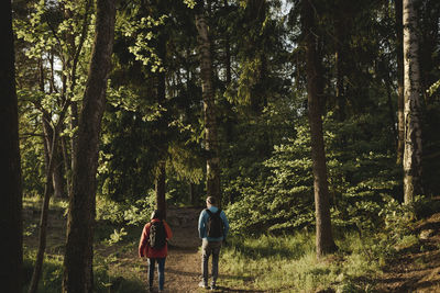 Rear view of people walking in forest