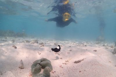 Man swimming undersea