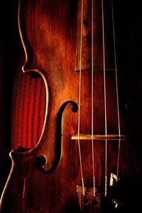 Close-up of violin against black background