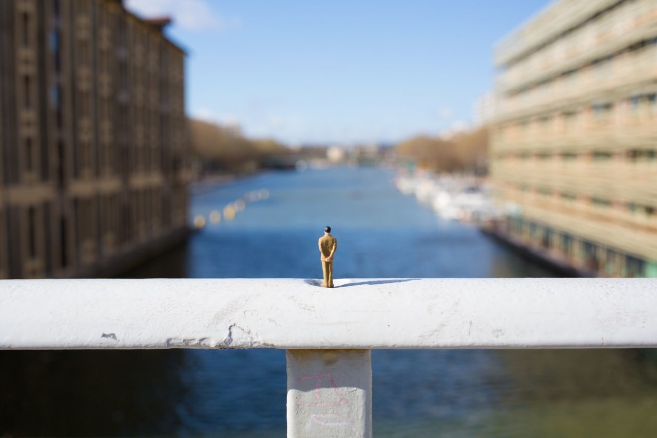 water, building exterior, built structure, architecture, focus on foreground, railing, bird, rear view, river, lake, reflection, outdoors, one animal, clear sky, canal, sky, full length, day