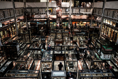 Exhibition in oxford university museum of natural history