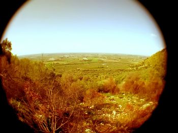 Scenic view of landscape against clear sky