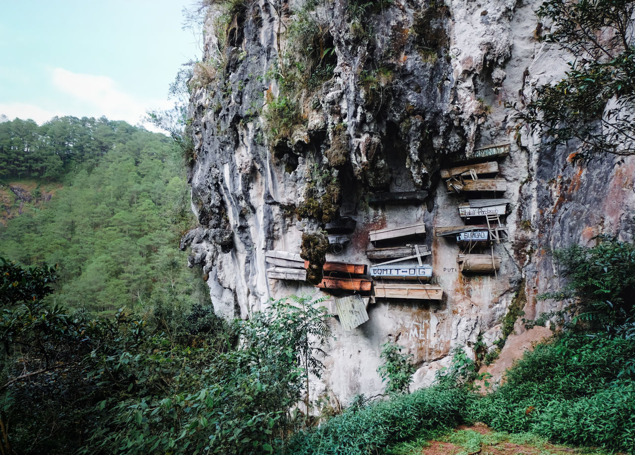 plant, tree, nature, architecture, built structure, day, no people, rock, land, growth, green, outdoors, mountain, forest, jungle, beauty in nature, terrain, building, environment, non-urban scene, scenics - nature, travel, ruins, travel destinations, history, tranquility, water, building exterior, sky