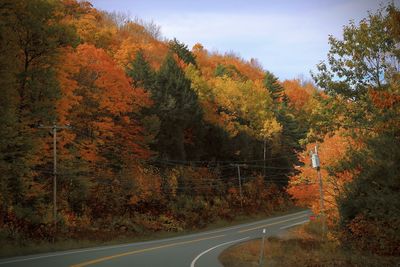 Road amidst trees against sky during autumn