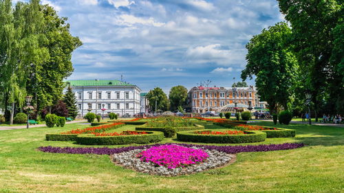 View of plants in garden against cloudy sky