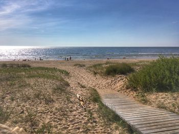 Scenic view of beach