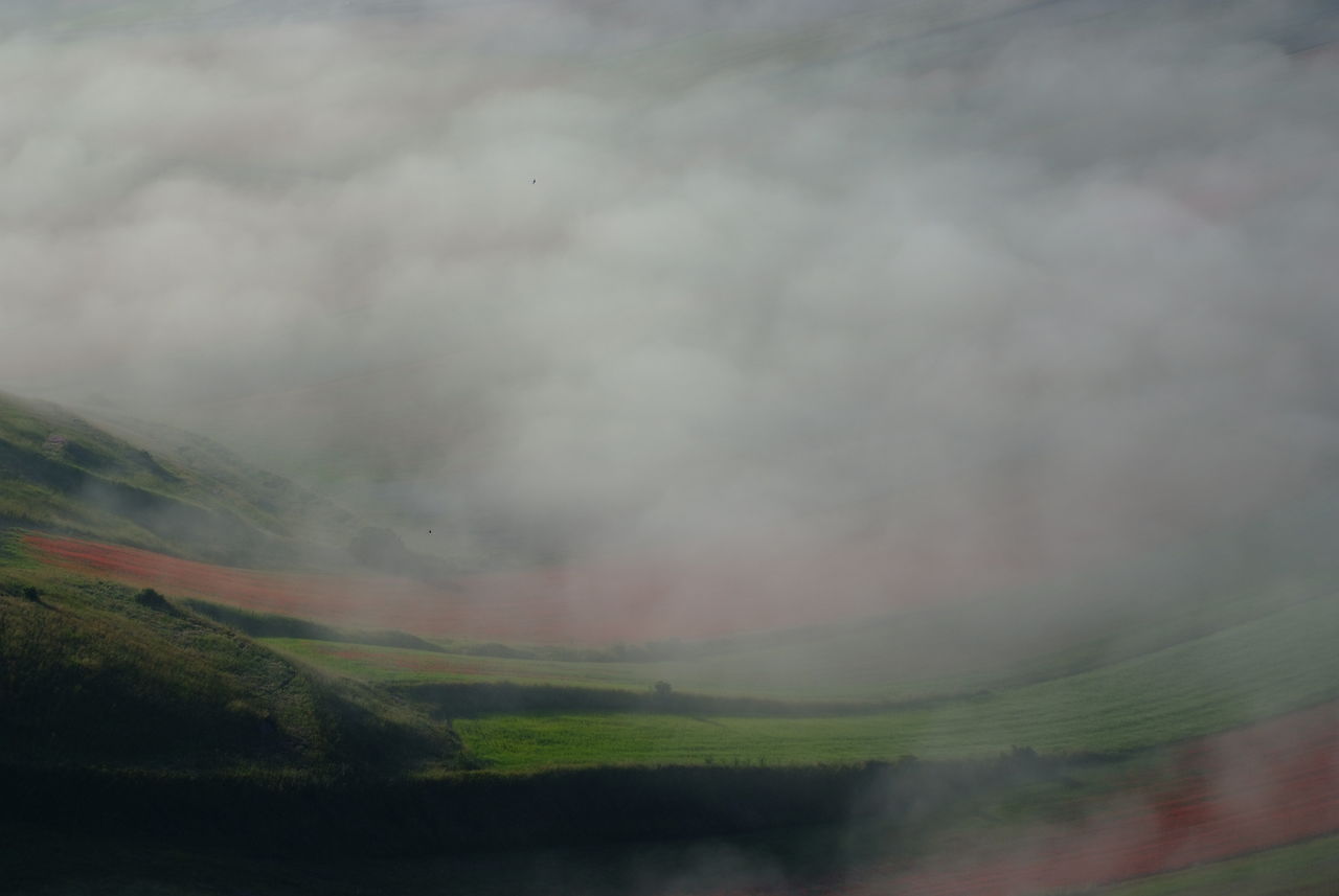 #diprimomattino, le tasche piene di nebbia Puntidivista Silence Fog Foggy Colors Morning View