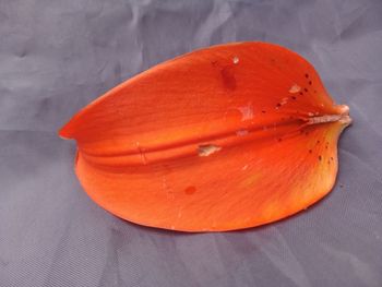 High angle view of orange on table