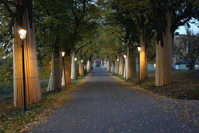 Empty road along trees in park