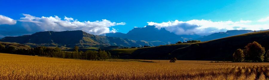 Panoramic view of agricultural field against sky