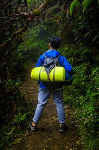 Rear view of man standing in forest