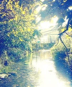 Scenic view of river